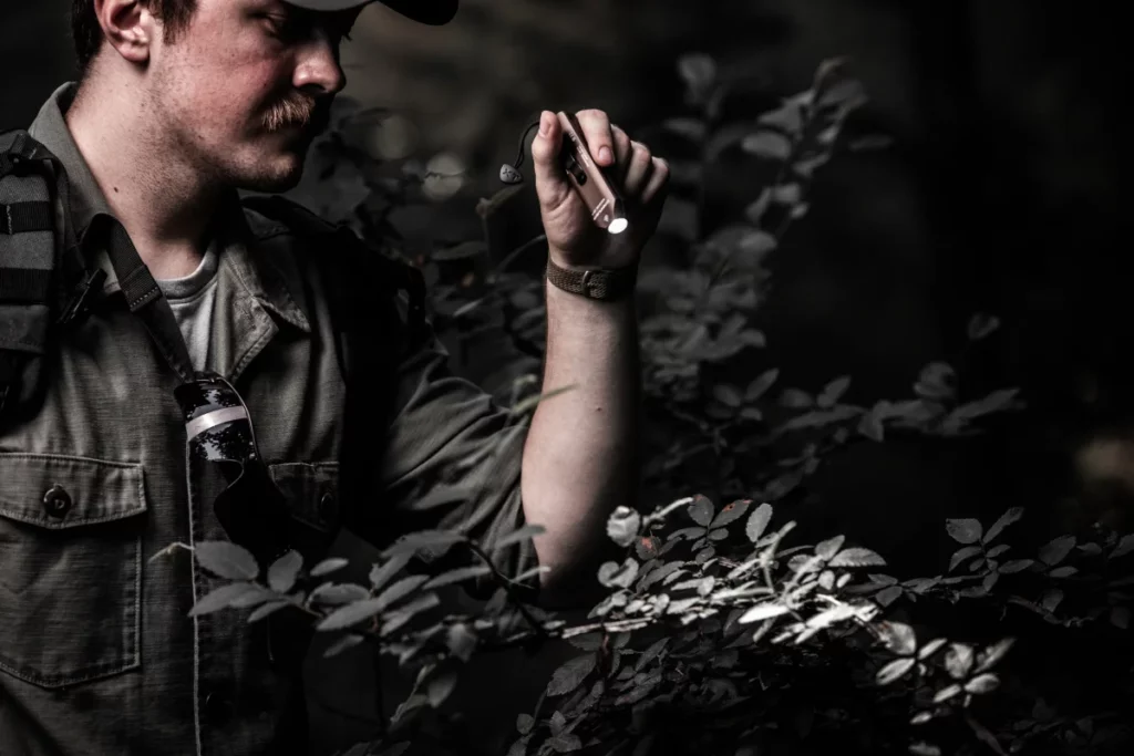 Streamlight Featured